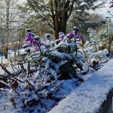 Terre Rouge & Terra Rubica - Les Terrasses De Malmedy Villa ภายนอก รูปภาพ