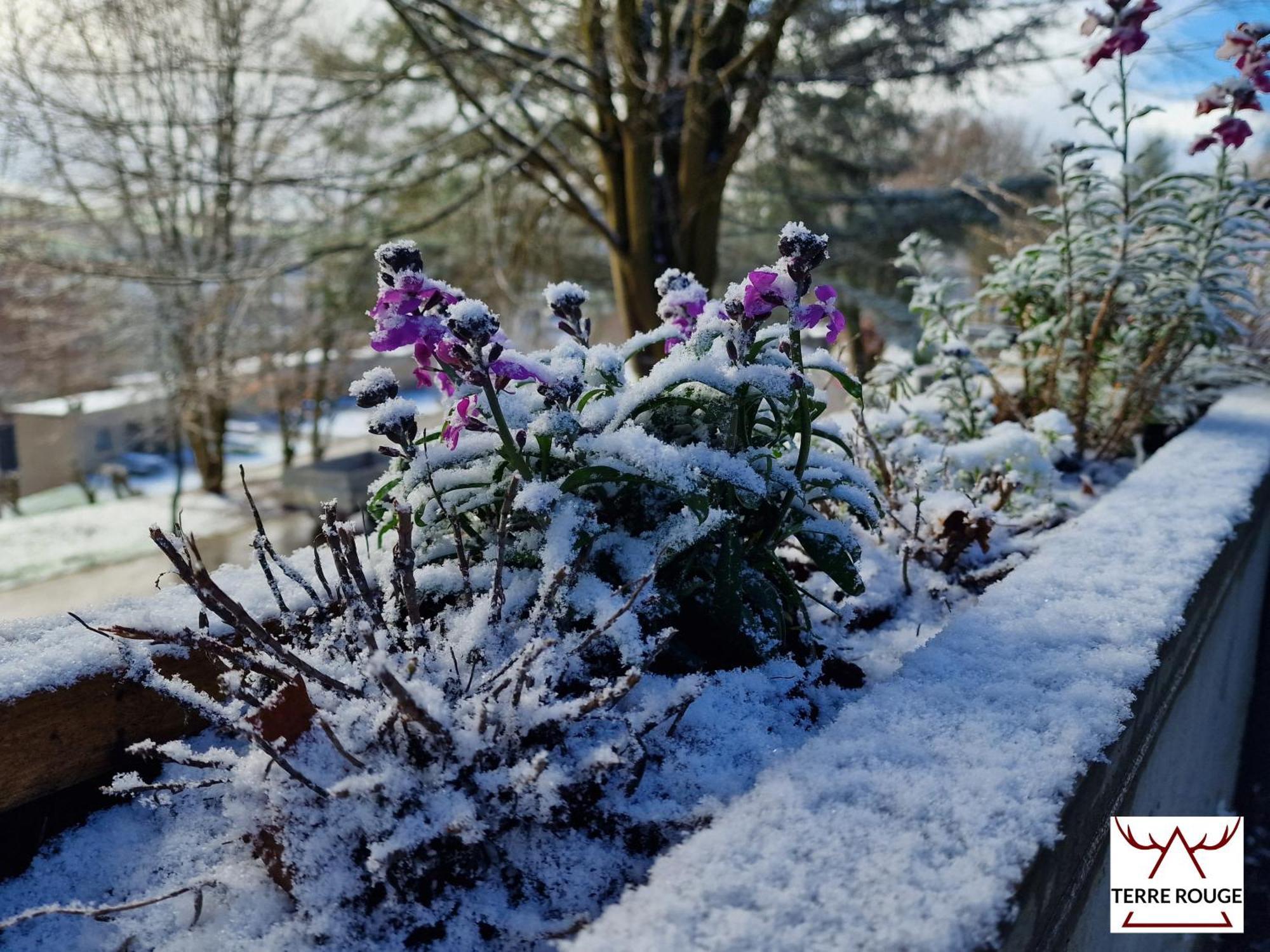 Terre Rouge & Terra Rubica - Les Terrasses De Malmedy Villa ภายนอก รูปภาพ