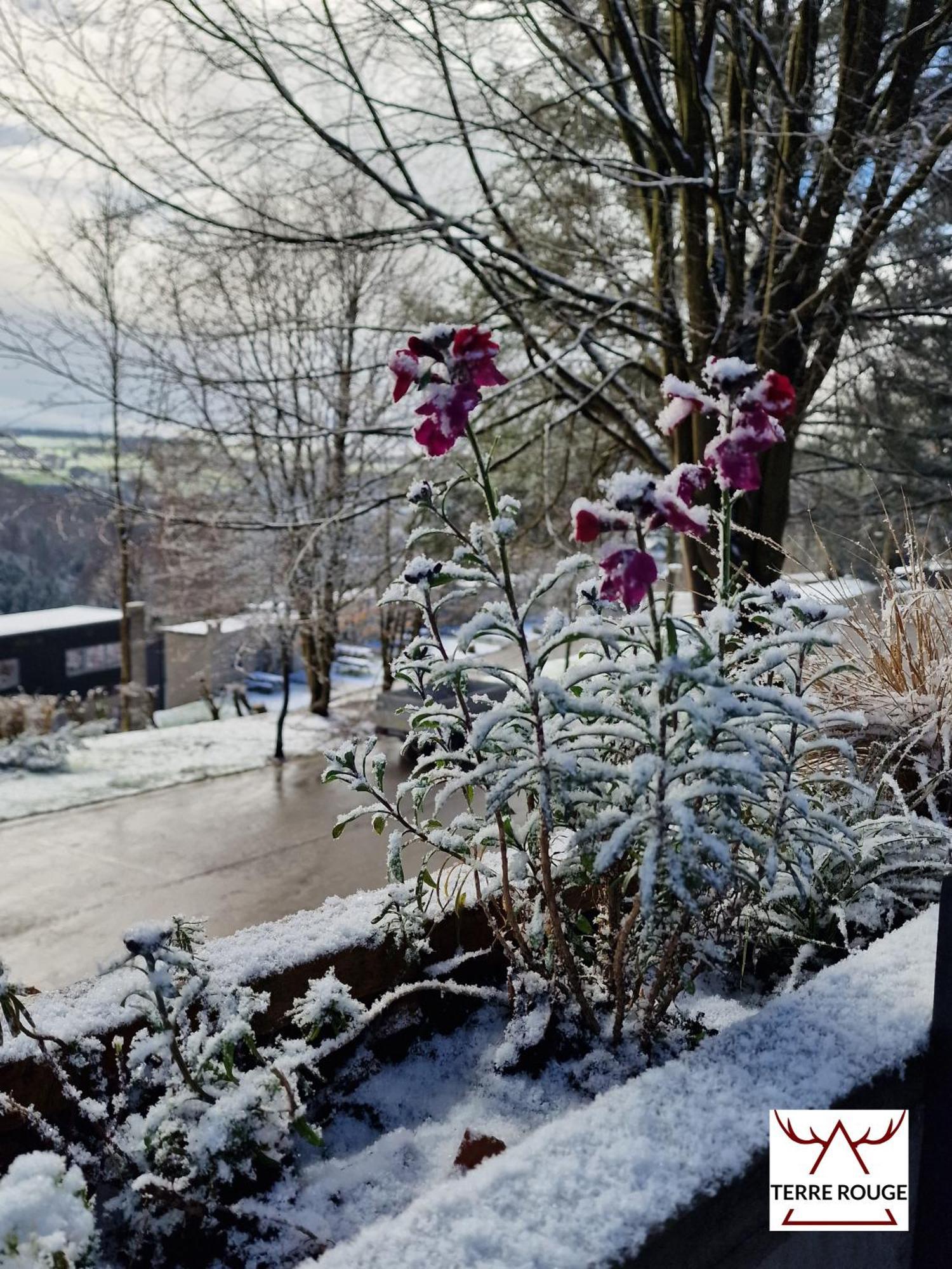 Terre Rouge & Terra Rubica - Les Terrasses De Malmedy Villa ภายนอก รูปภาพ